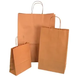 Pack4Food24 250 Premium Papiertragetaschen 32+17x27cm mit Kordel braun unbedruckt 90g/m2