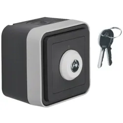 Hager W.1 - Schlüssel-Schalter, 2-polig, Aufdruck '1', 10 A, 240 V~, IP55, grau