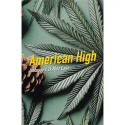 Dope Seeds American High 3 Samen - 3