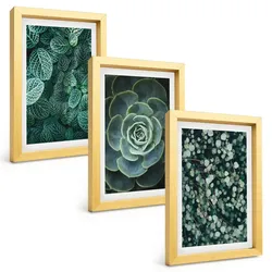 BILDER SET 3er Set - 20x30 cm Goldrahmen - Sukkulenten