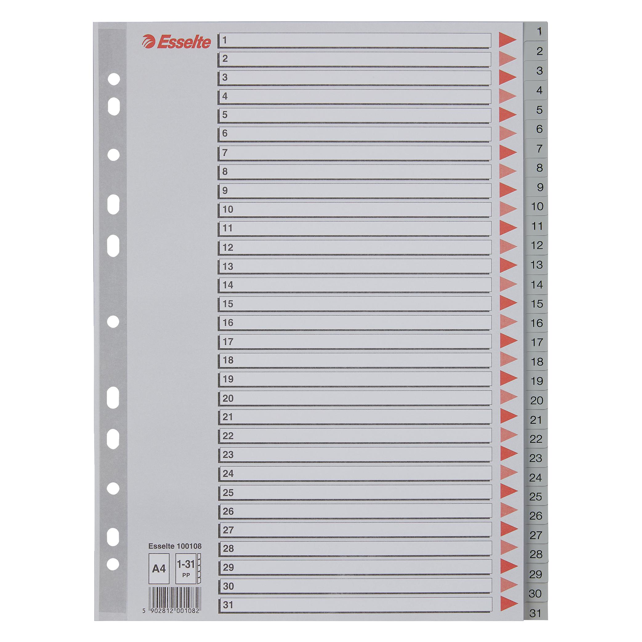 Leitz Esselte Kunststoff-Register, Zahlen, A4, 1-31, grau 31-teilig, PP, 0,12 mm, mit beschriftbarem Deckb (100108)