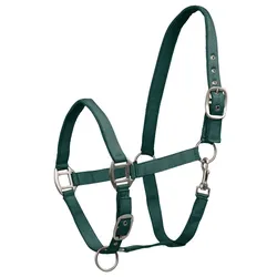 Halfter WA Satin tannengrün PONY