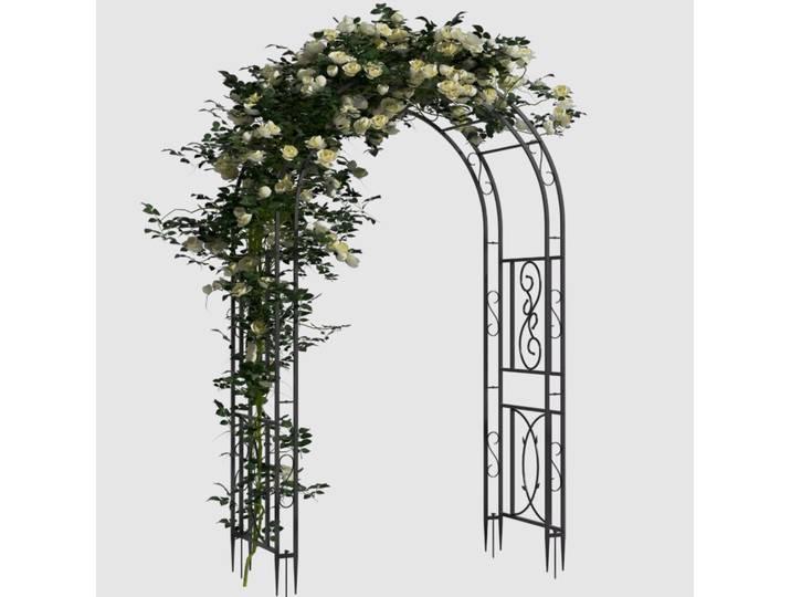 Arche de jardin en métal robuste pour plantes grimpantes, treillis pour fleurs et plantes