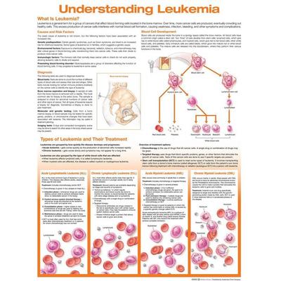Understanding Leukemia Anatomical Chart, von , Ingram Publishers Services, 978-1-975192-35-8