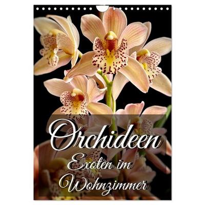 Orchideen - Exoten im Wohnzimmer (Wandkalender 2027 DIN A4 hoch), CALVENDO Monatskalender