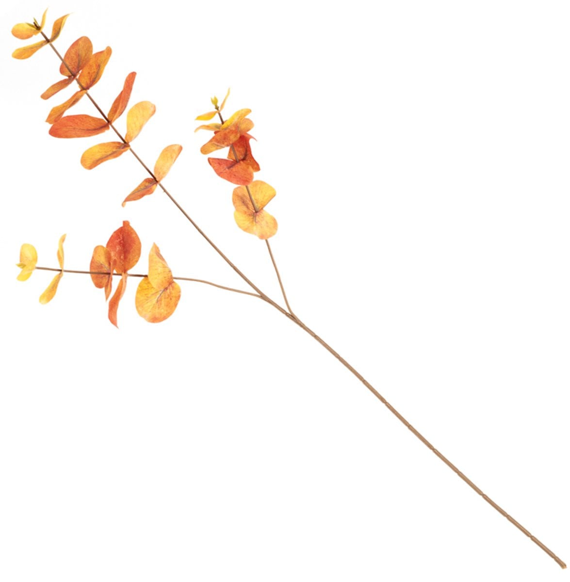 HomeBound by KY Eucalyptus kunsttak oranje