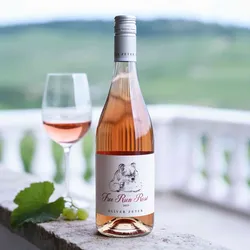 Oliver Zeter 2025 Oliver Zeter Free Run Rosé 2025 Cabernet Franc,Merlot,Syrah Deutschland