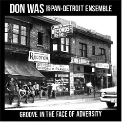 Groove In The Face Of Adversity, Schallplatten
