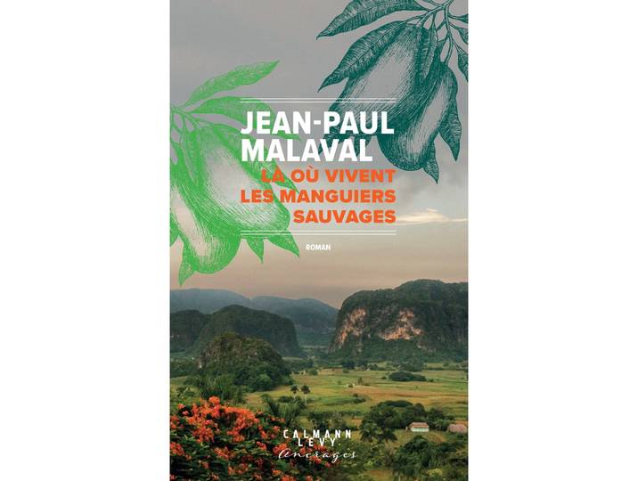 Là où vivent les Manguiers sauvages (Grand format)
