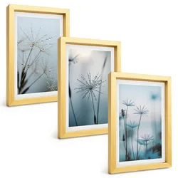 BILDER SET 3er Set - 20x30 cm Goldrahmen - Löwenzahn mit Wassertropfen
