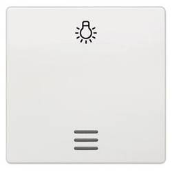 Siemens Schalterprogramm 1fach Symbolwippe Licht Weiß 5TG6206 1 St.