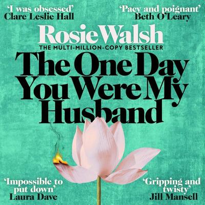 The One Day You Were My Husband - Rosie Walsh, Audio, 9781035076789