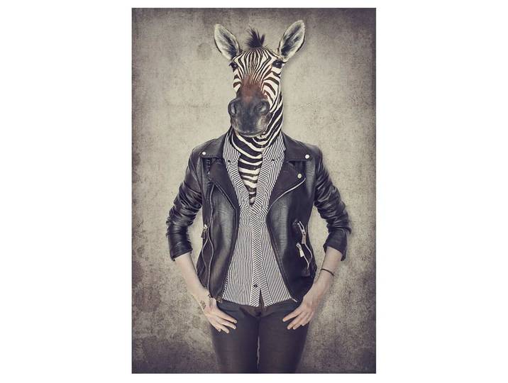 Digitaldruck auf Acrylglas Zebra Gentleman image LAND / Grösse: 120 x 80 cm