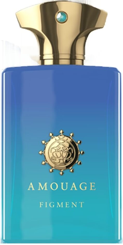 Figment van Amouage voor Mannen Eau de Parfum 100ml