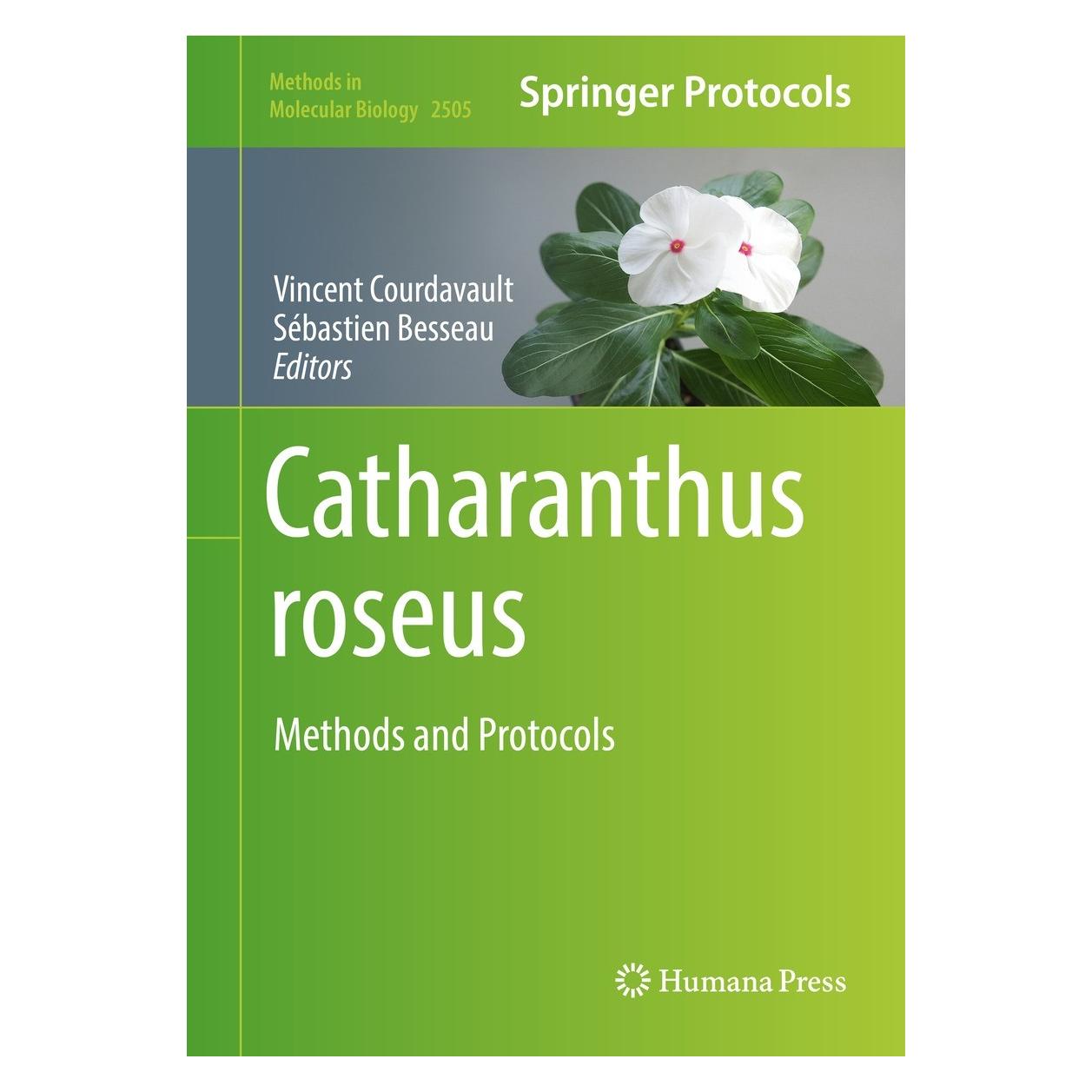 Springer Catharanthus roseus (Englisch, Hardcover, Sebastien Besseau, Vincent Courdavault) (9781071623480)