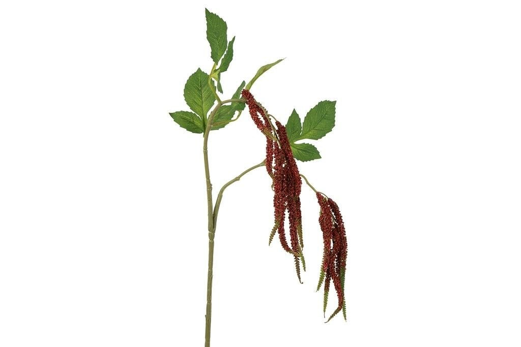 Countryfield zijden Amaranthus caudatus roze, 91 cm