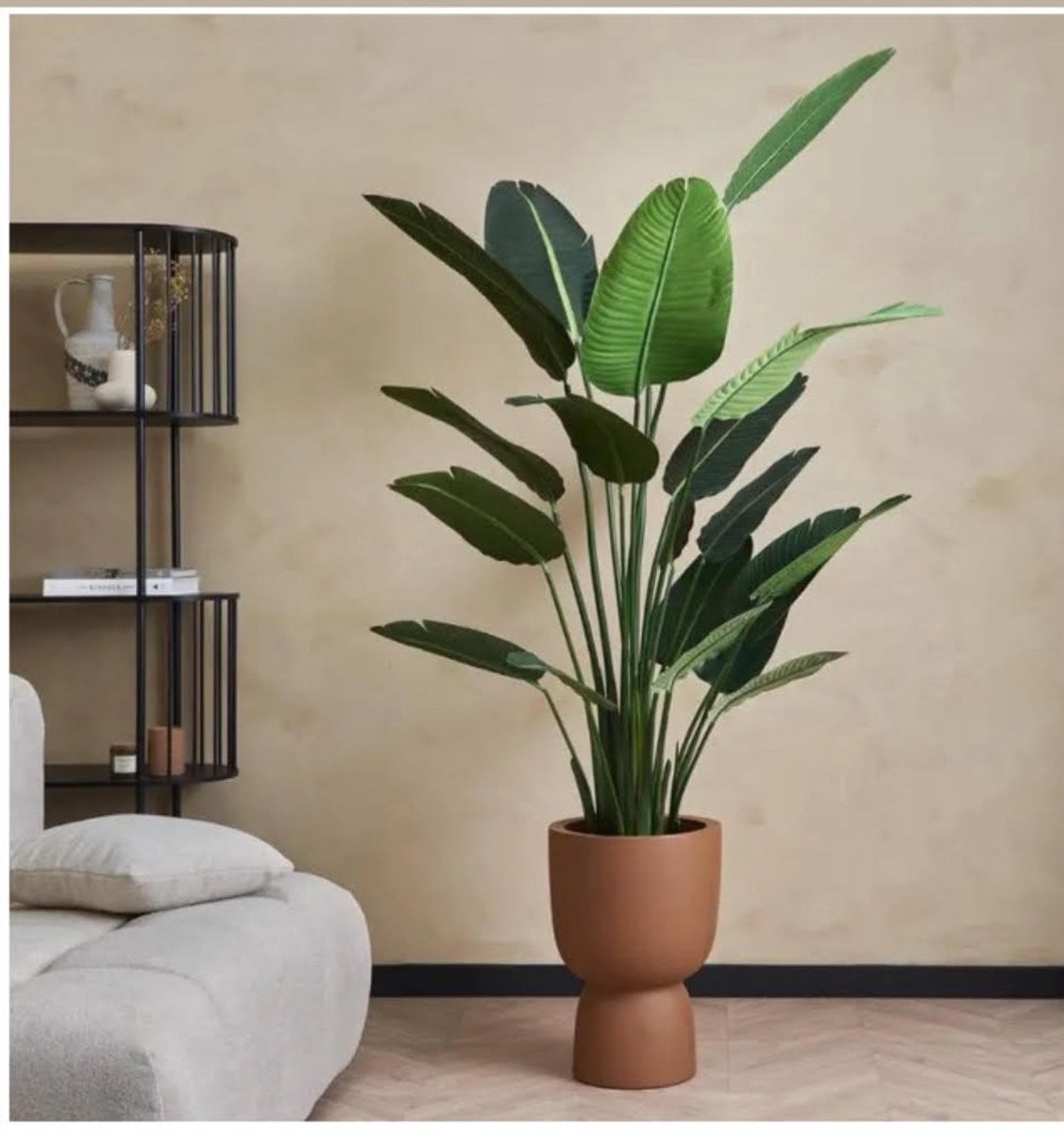 Maja Groene Kamerplant in Pot