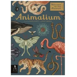 Animalium, Kinderbücher von Jenny Broom, Katie Scott