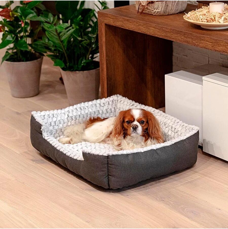 Ferplast SWEETIE 70 CUCCIA