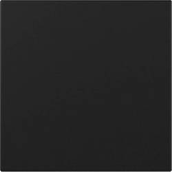 GIRA Wippe Schwarz 3496005 1 St.