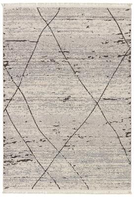 Juniper Home Imani Trellis Area Rug