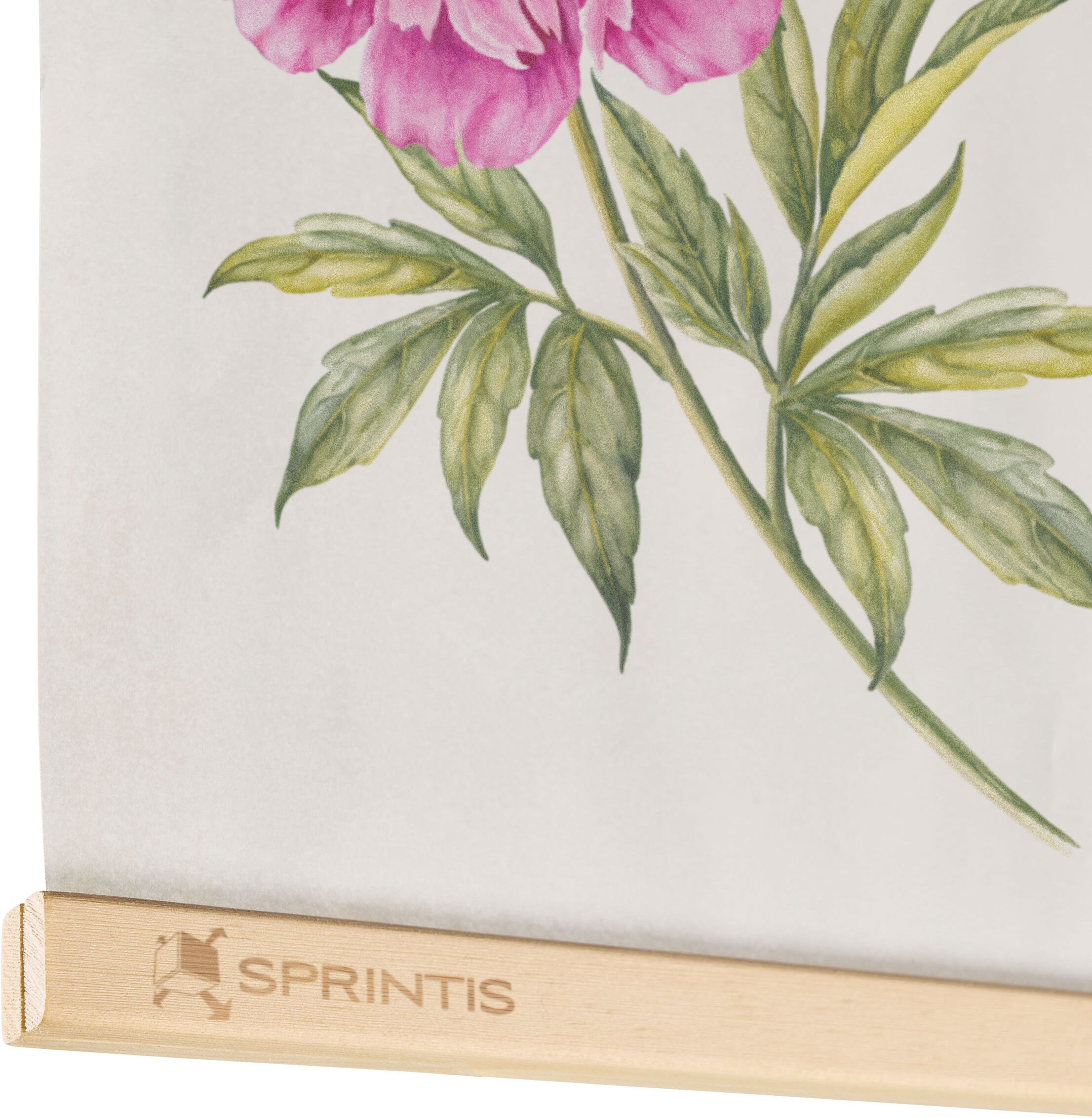 SPRINTIS 1 Listelli per poster in legno con incisione 220 mm, legno di pino, marrone