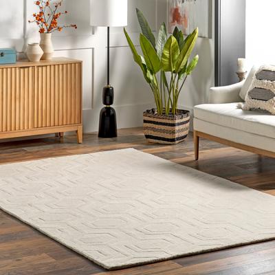 Nuloom Hand Woven Ambrose Area Rug