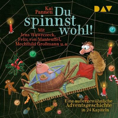 Du spinnst wohl! Eine außergewöhnliche Adventsgeschichte in 24 Kapiteln - Kai Pannen, Audio, 9783742433831