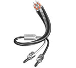 inakustik Referenz LS-603 Lautsprecherkabel Single-Wire EasyPlug (3,0m) IA007700631