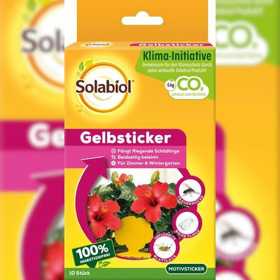 Solabiol Gelbsticker 10 Stück Spezialleim ohne Insektizid