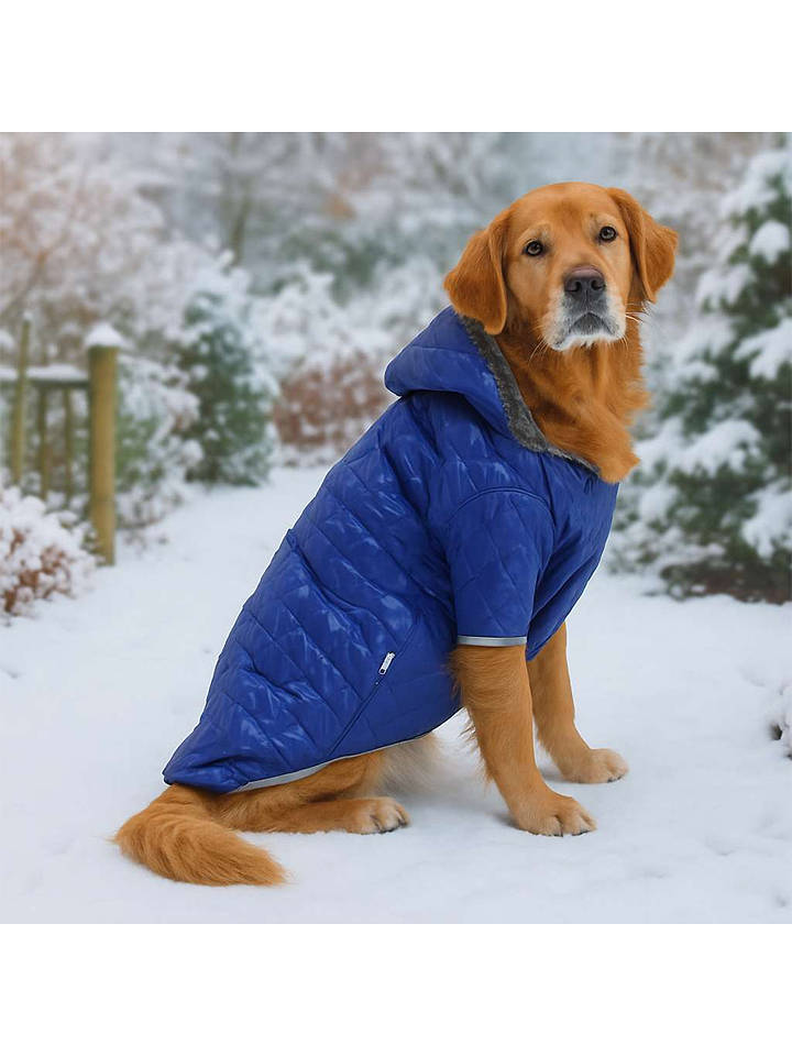 Paws&Whiskers Hundehoodie in Blau - 6XL