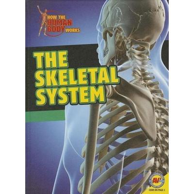 The Skeletal System, Gebundene Ausgabe von Simon Rose, Av2 by Weigl, 978-1-4896-1182-6