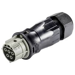 Wieland Electric 99.575.0000.7 Steckverbinder