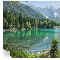 FOTOTAPETE 250x250 cm - Grüner See