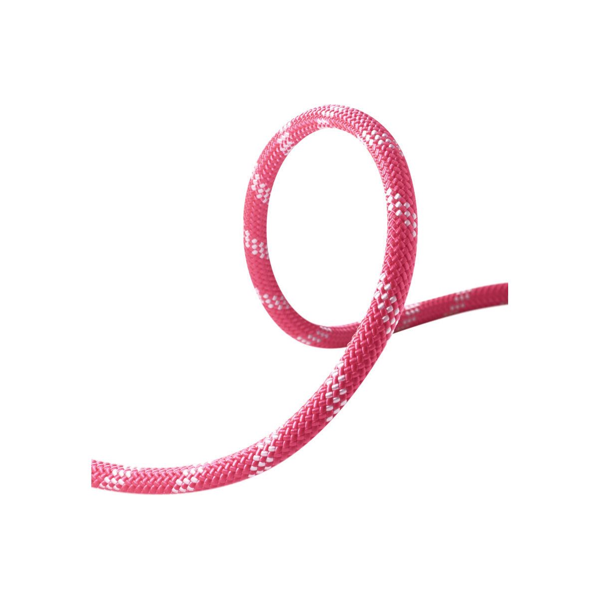 Edelrid Performance Static 11,0mm pink (242) 100 M 832561002420