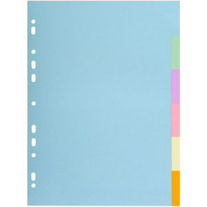 Exacompta Register 1606E Forever, A4, blanko, Karton, 6-teilig, vollfarbig