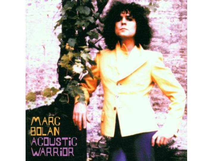Acoustic Warrior