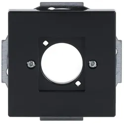 Busch-Jaeger XLR-Zentralscheibe 2553-81