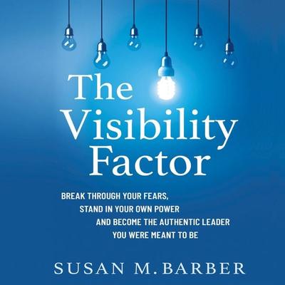 The Visibility Factor - Susan M. Barber, Audio, 9781737610427