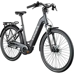 Tretwerk Amber Nexus E Bike Damen 28 Zoll Elektrofahrrad 155 - 185 cm Hollandrad Tiefeinsteiger mit 8 Gang Nabenschaltung