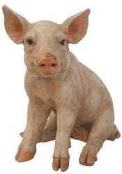 Hi-Line Gift Ltd. Large Sitting Pig