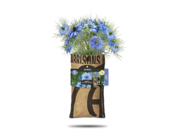 Baza hangtuintje bio nigelle