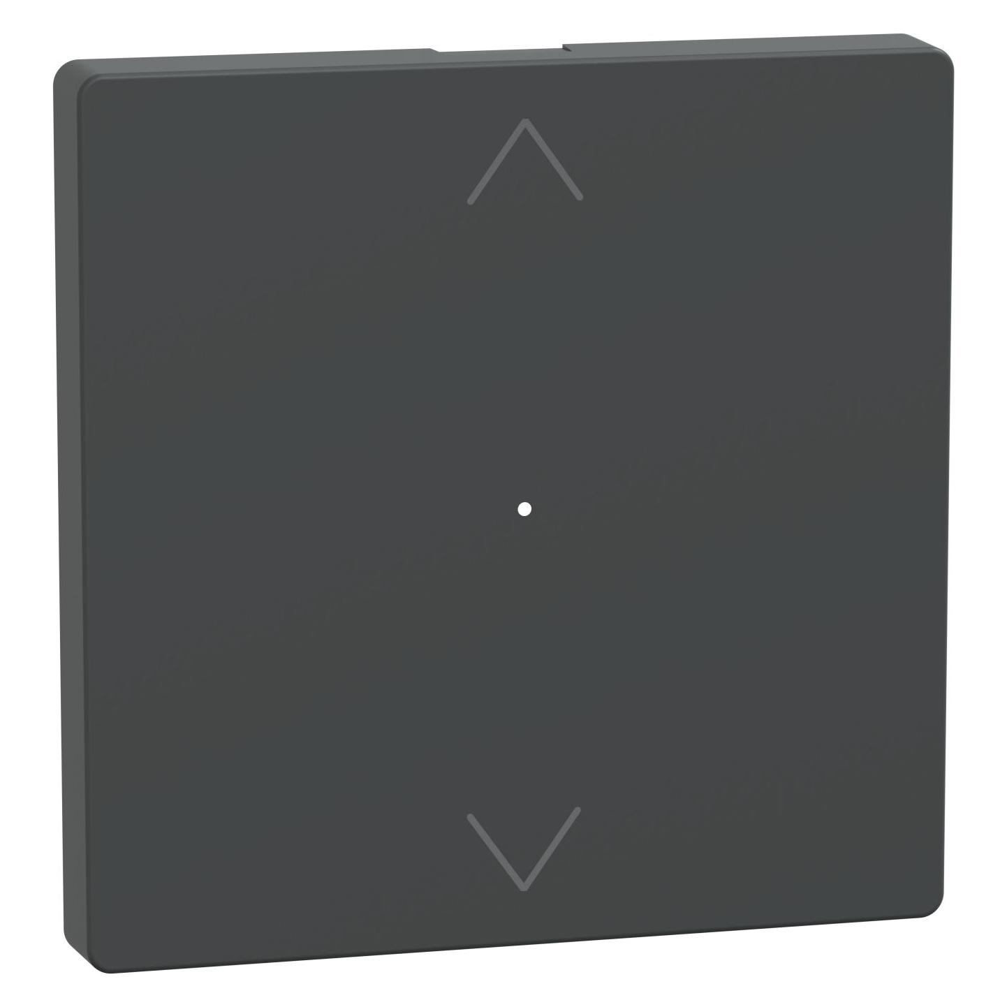 Merten Wippe Anthrazit System Design (MEG5215-6034)