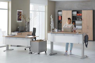 Schäfer Shop Genius ERGOSTYLE S Knieraumblende für Schreibtisch B 1600 mm