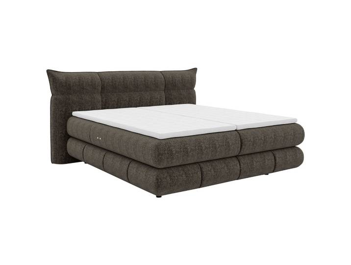 Boxspringbett Auris Braun ca. 160x200cm