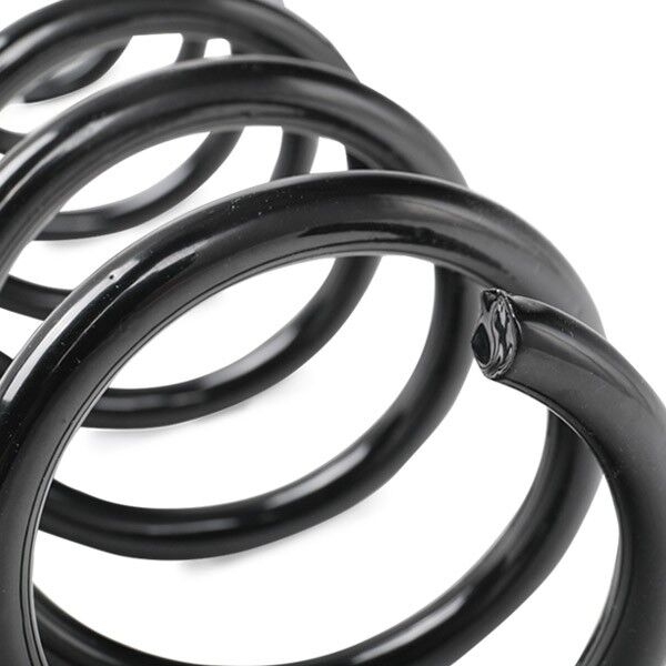 SACHS 994 398 Chassisveer