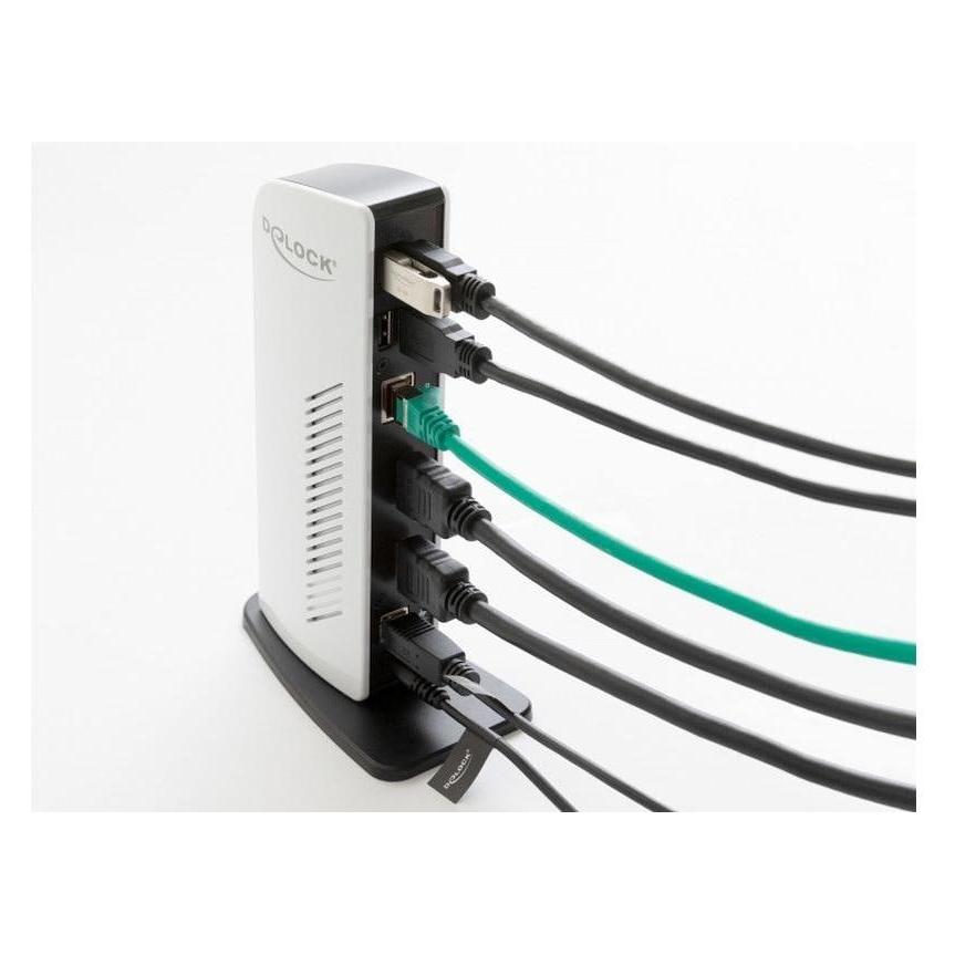 Delock Dual (Docking Port) (87771)