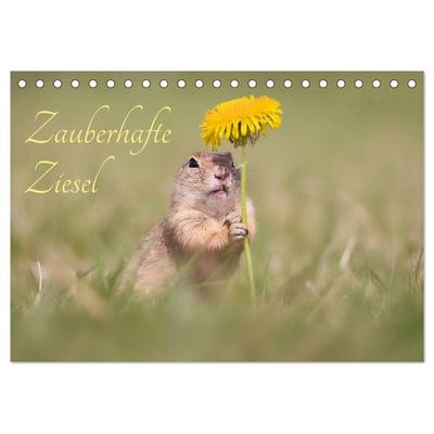 Zauberhafte Ziesel (Tischkalender 2027 DIN A5 quer), CALVENDO Monatskalender