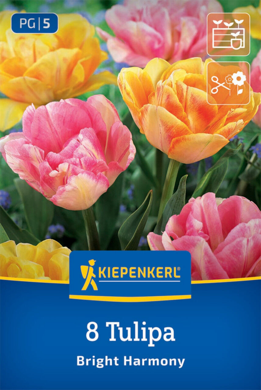 Kiepenkerl Herbstblumenzwiebel Tulpen Mischung Bright Harmony 8 Stück