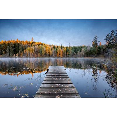 Fototapete PAPERMOON "Photo-Art KELLER, HERBSTSTEG", bunt, B:5m L:2,8m, Vlies, Tapeten